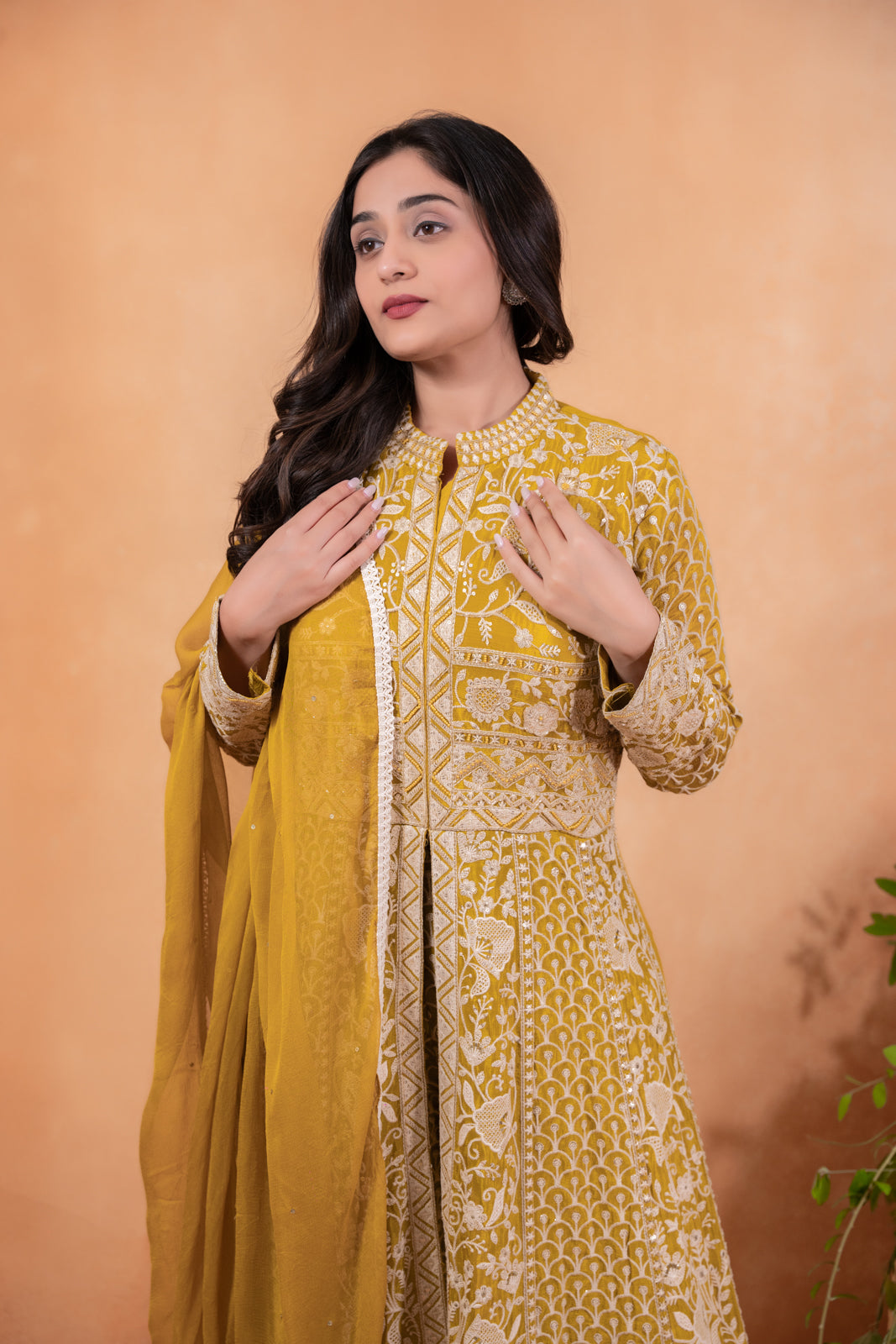 Zari Embroided Chinnon Indo Western Dress for Women